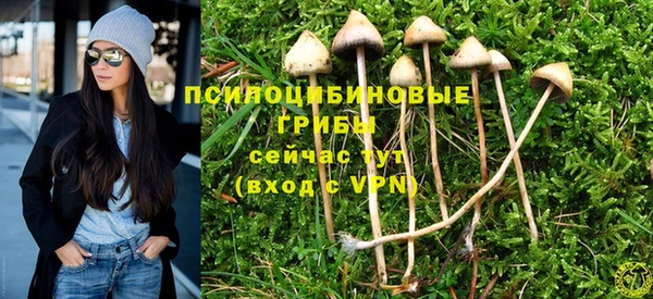 PSILOCYBIN Беломорск