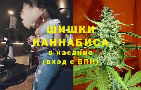 индика Белокуриха